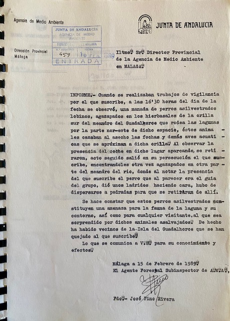 Informe, nº 459 de 16/02/1989, comunicando la presencia de perros asilvestrados en la Desembocadura del Guadalhorce.