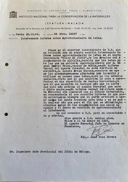 Informe de 11/01/1985, sobre aprovechamiento de leñas en el monte Pinar de Jorox (Málaga).