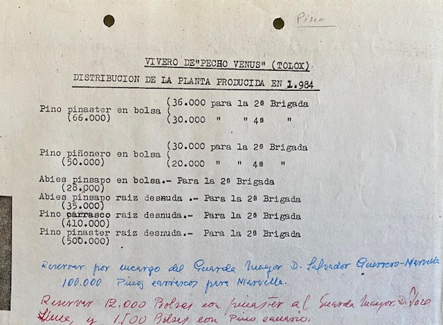 Nota sobre la distribución de planta del vivero de Pecho Venus de Tolox (Málaga) producida en 1984.