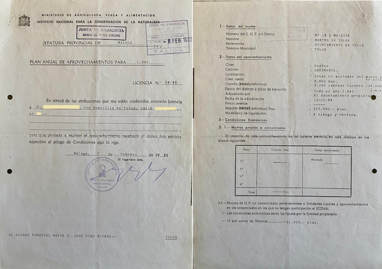 Licencia de aprovechamiento de pastos en el monte de Tolox (Málaga), año 1985.