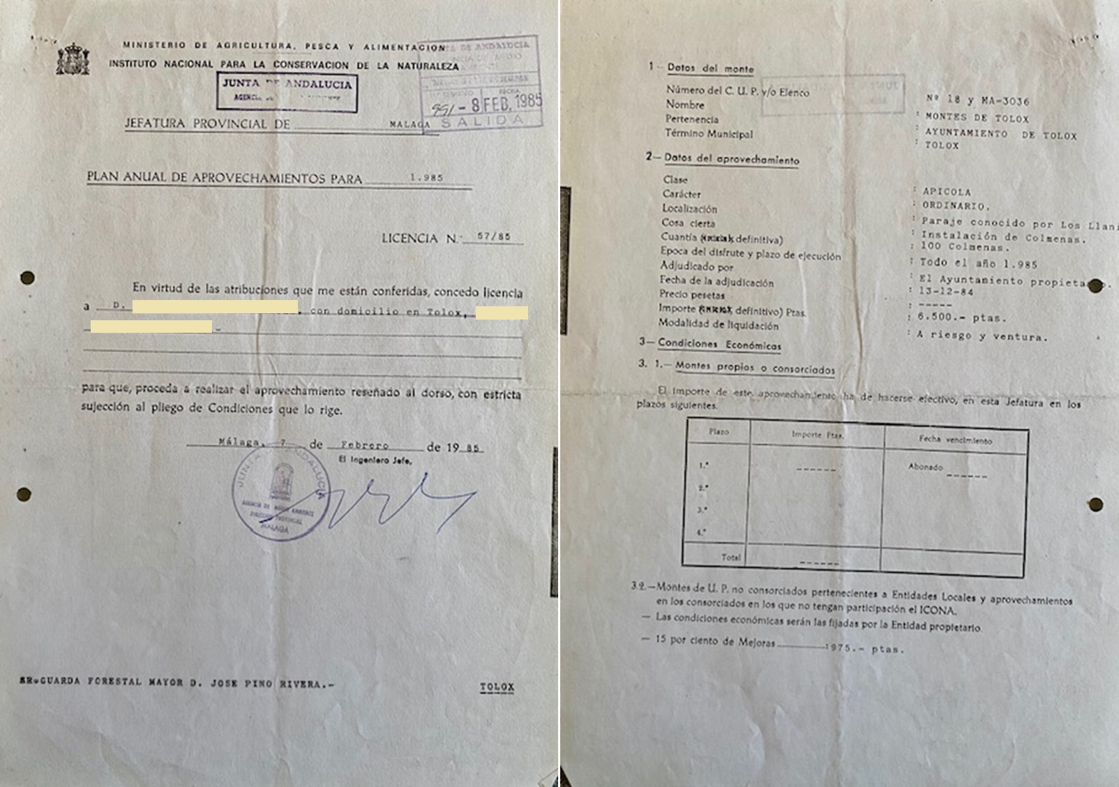 Licencia de aprovechamiento de colmenas en el monte de Tolox (Málaga), año 1985.