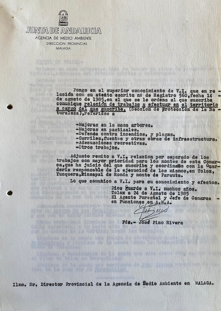 Oficio, de 24/08/1985, dirigido al Director Provincial de la AMA en Málaga informando sobre trabajos forestales en la comarca.