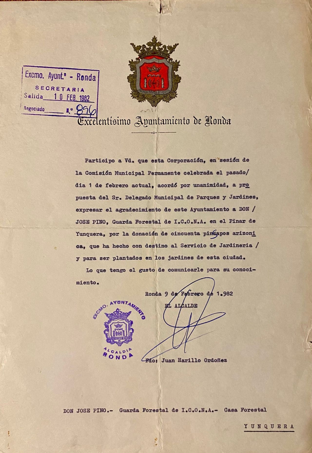 Carta de 09/02/1982 del Alcalde del Ayuntamiento de Ronda en agradecimiento