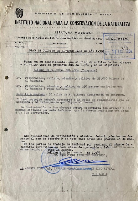 Oficio de 12/01/1984, comunicando el plan de cultivo del vivero para 1984 del monte Pinar de Yunquera.