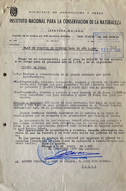 Oficio de 12/01/1984, comunicando el plan de cultivo del vivero para 1984 del monte de Tolox.